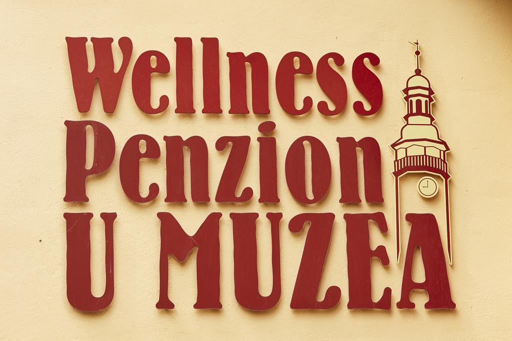 Wellness Penzion U Muzea Otel Liberec Dış mekan fotoğraf